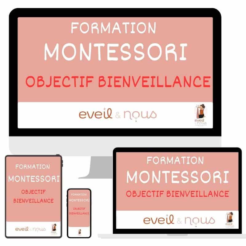 formation montessori objectif bienveillance eveil nous 800 800px