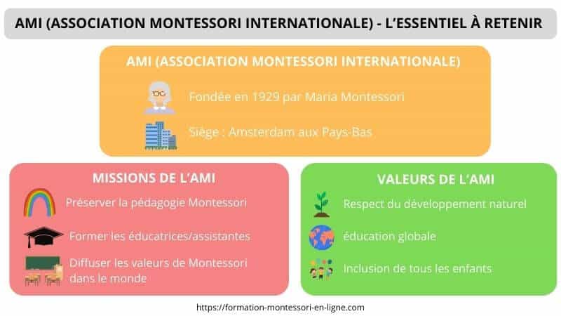 formation Montessori AMI essentiel retenir