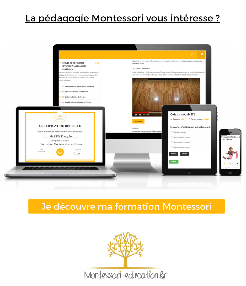 formation montessori education